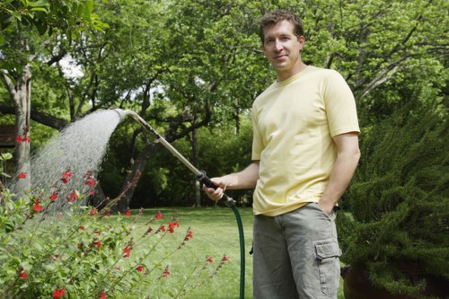 Urban tree care and pruning service in Marylebone