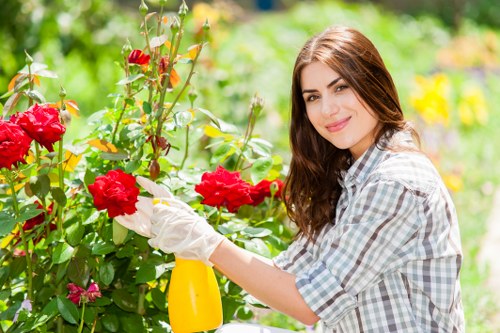 Careful hedge cutting for a managed property in Marylebone