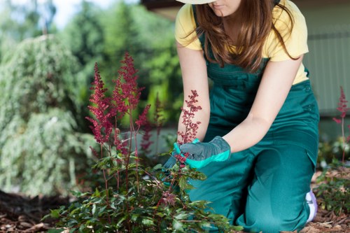 PCI compliant payment security for tree surgery services