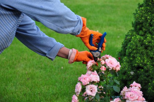 Reliable secure payment options for Tree Surgeons Marylebone